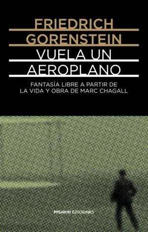 VUELA UN AEROPLANO