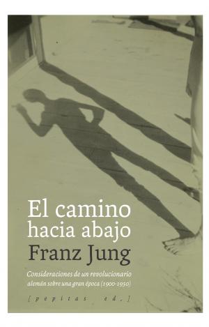EL CAMINO HACIA ABAJO