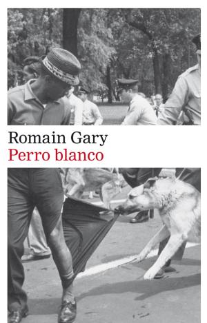 PERRO BLANCO