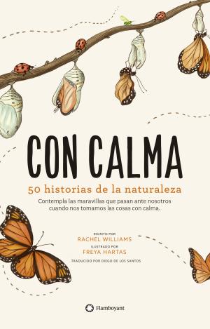 CON CALMA