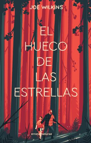 EL HUECO DE LAS ESTRELLAS