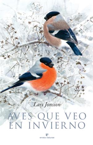 AVES QUE VEO EN INVIERNO