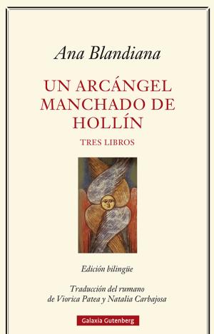 UN ARCÁNGEL MANCHADO DE HOLLÍN