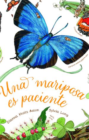 UNA MARIPOSA ES PACIENTE
