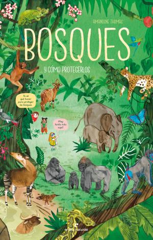 BOSQUES... Y CÓMO PROTEGERLOS