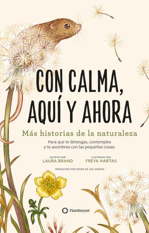 CON CALMA, AQUI Y AHORA