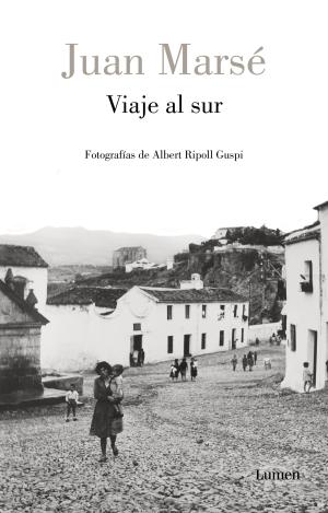 VIAJE AL SUR