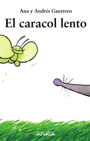 EL CARACOL LENTO