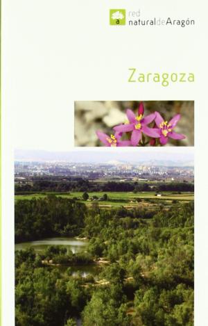 ZARAGOZA