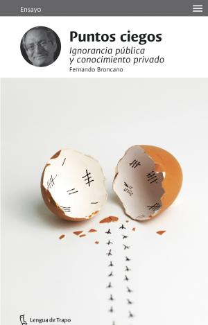 PUNTOS CIEGOS