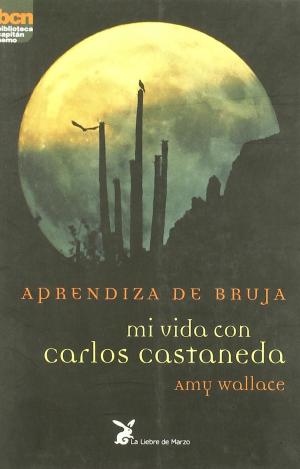 APRENDIZA DE BRUJA