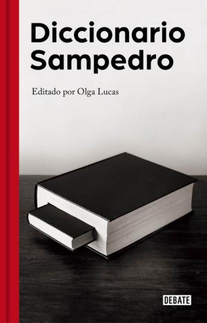 DICCIONARIO SAMPEDRO