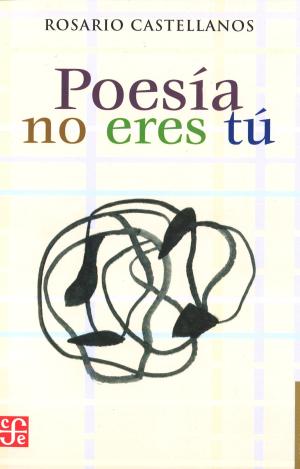POESIA NO ERES TU